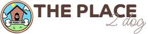 THE PLACE 2 DOG service de pet-sitter personnalisé en centre aéré à Hyères, garantissant le bonheur de vos chiens et chats.